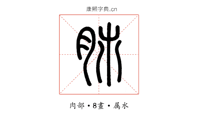 肺