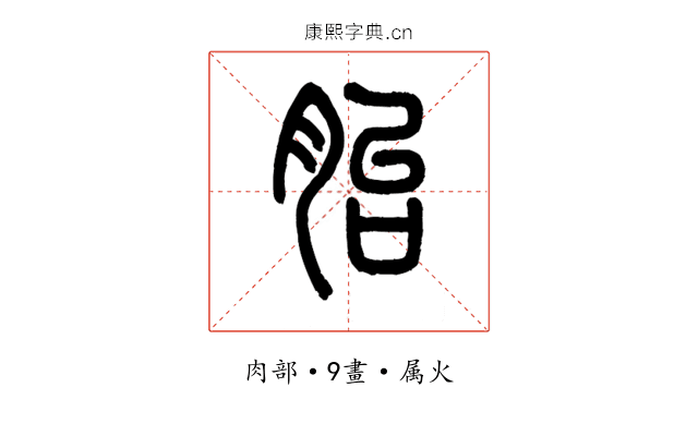 胎