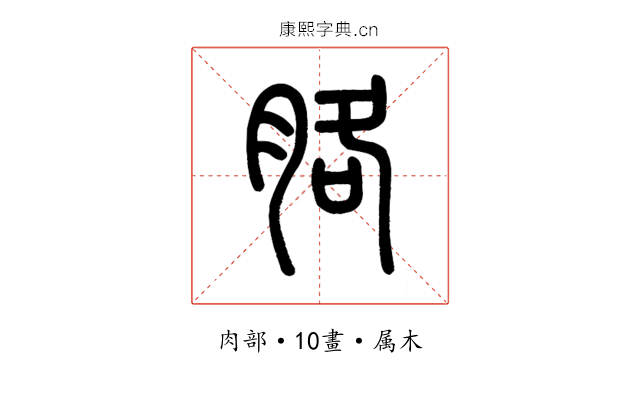 胳