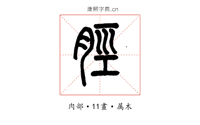 脛