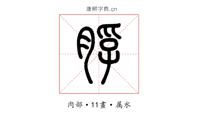 脬