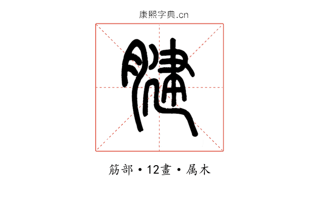 腱