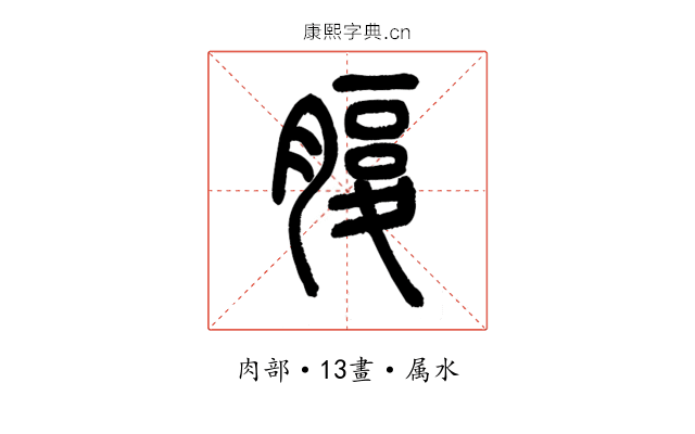 腹