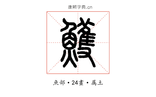 鱯