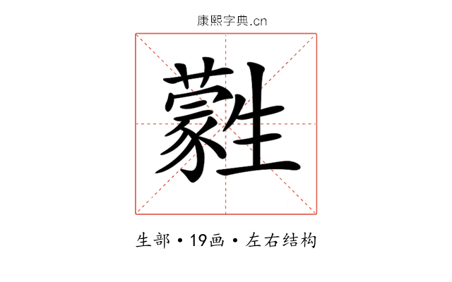 𤯾