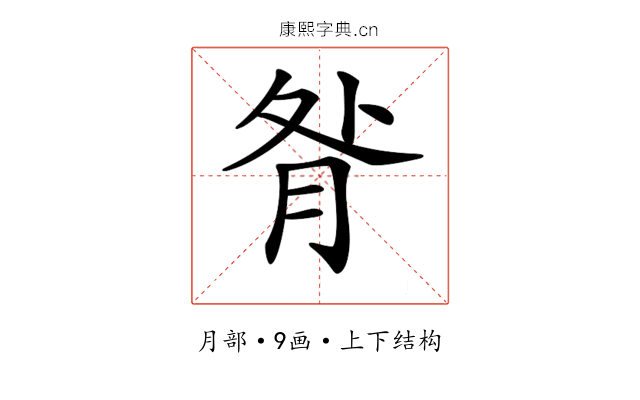 𦚅 𦚅