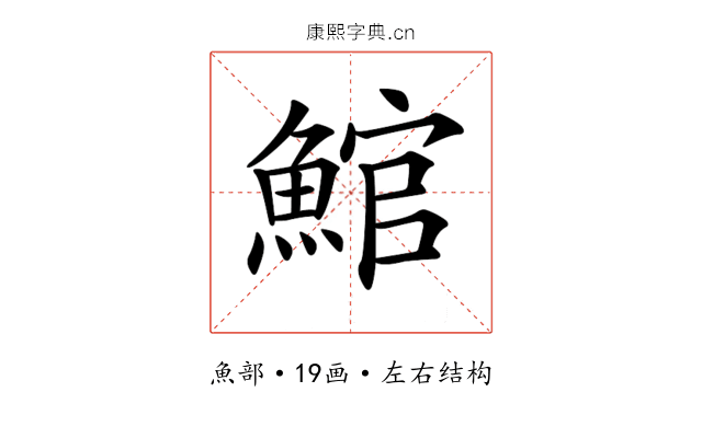 𩸘 𩸘