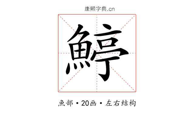 𩹇 𩹇