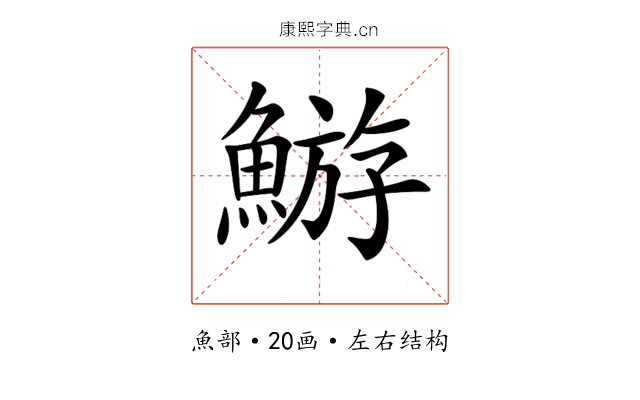 𩹊 𩹊