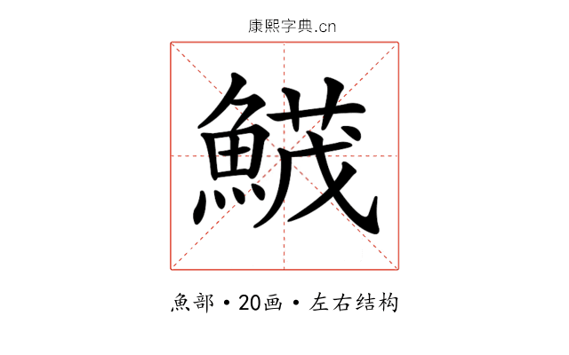 𩹛