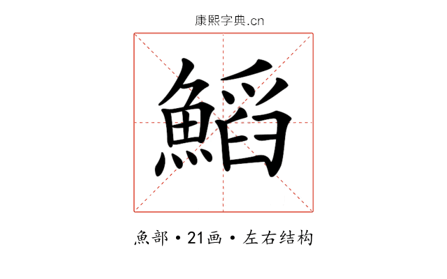 𩹴