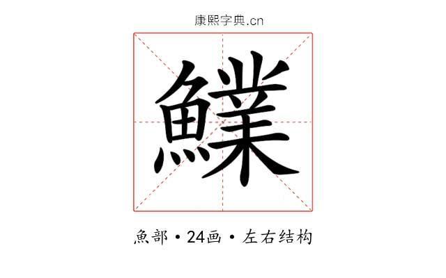 𩼋 𩼋