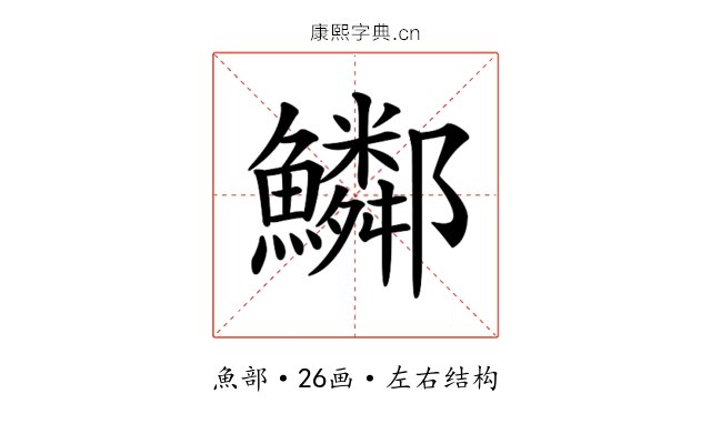 𩽂