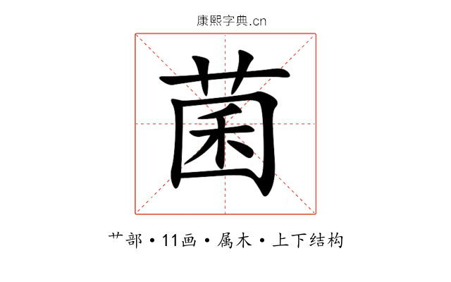 菌 菌