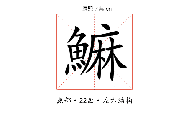 䲈 䲈