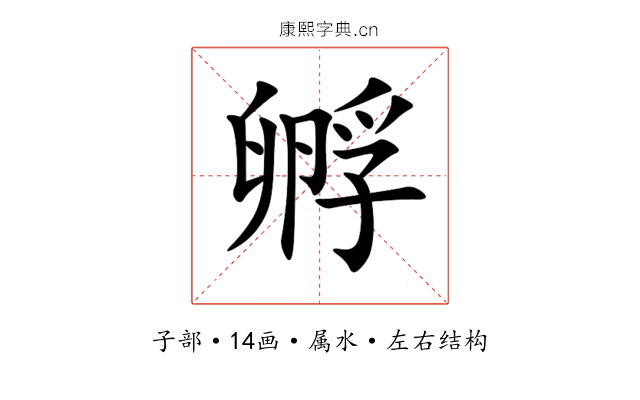 孵 孵