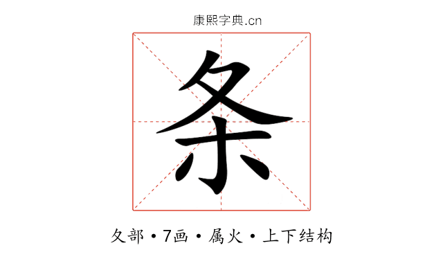 条 条