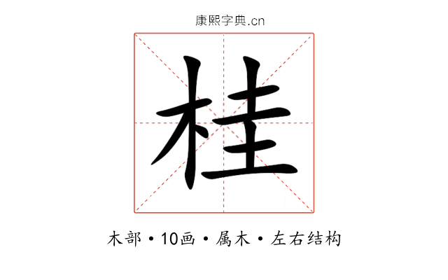 桂 桂