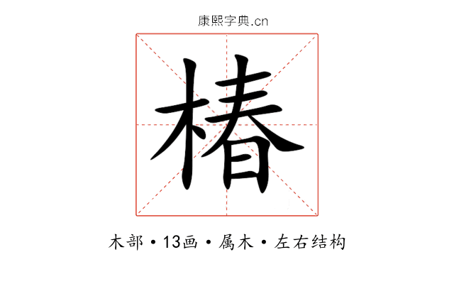 椿 椿