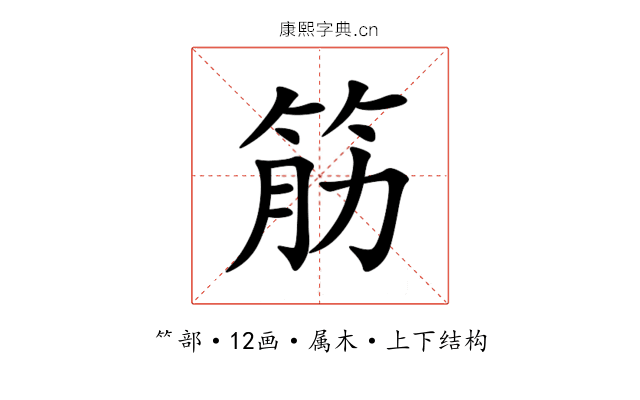 筋 筋