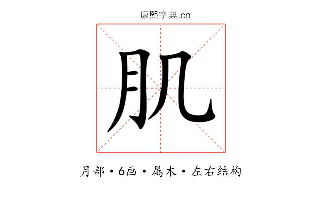 肌 肌