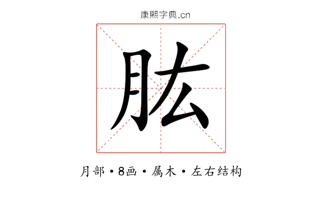 肱 肱