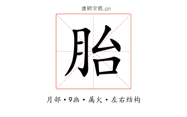 胎 胎