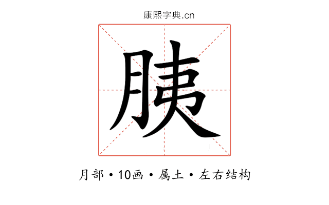 胰 胰