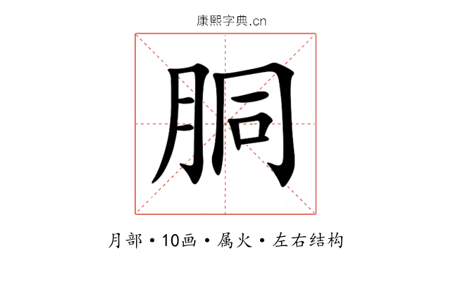 胴 胴