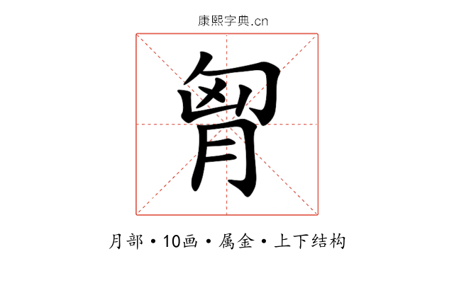 胷 胷