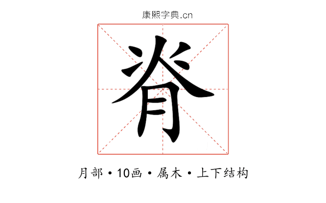 脊 脊