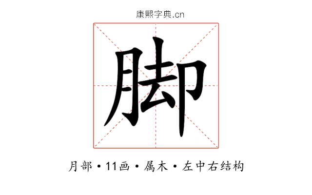 脚 脚