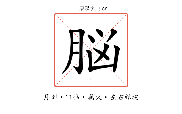 脳 脳
