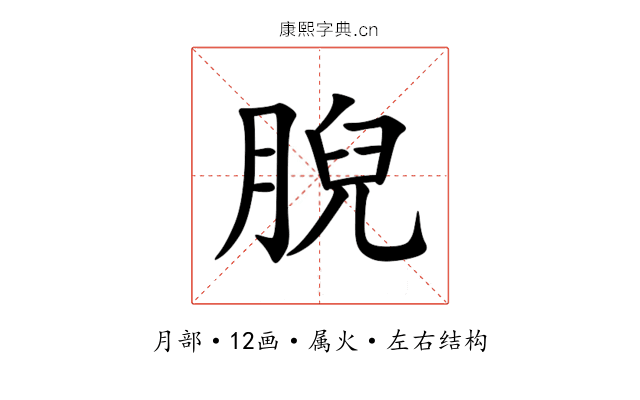 腉 腉