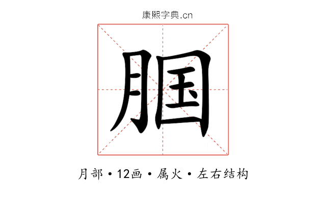 腘 腘