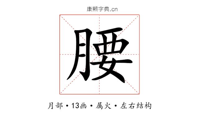 腰 腰
