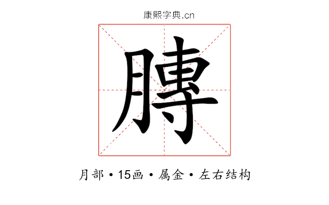 膞 膞