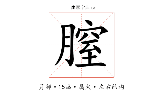 膣 膣