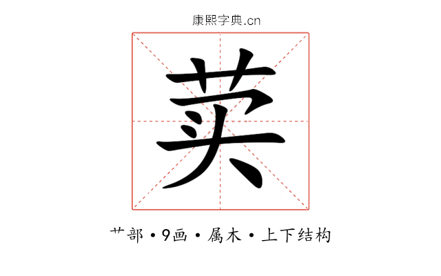荬 荬