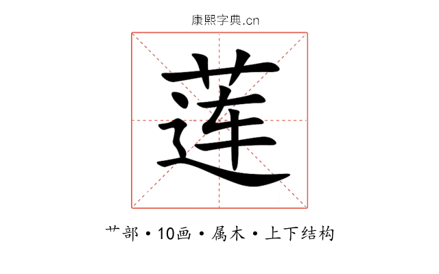 莲 莲