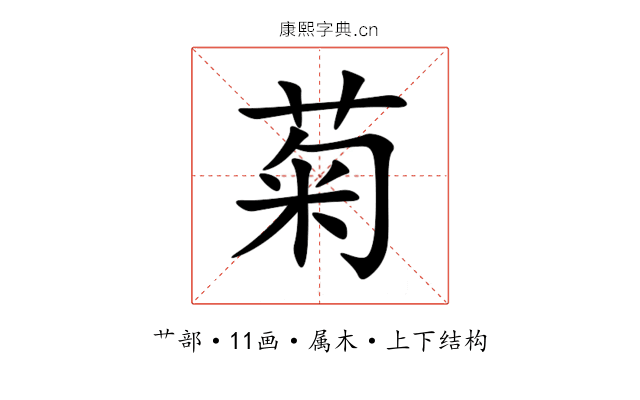 菊 菊
