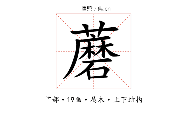 蘑 蘑