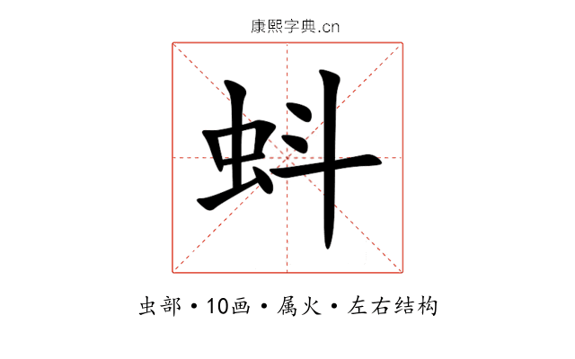 蚪 蚪