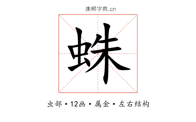蛛 蛛