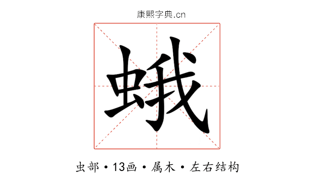 蛾 蛾