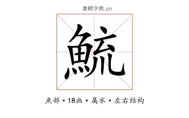 鯍 鯍