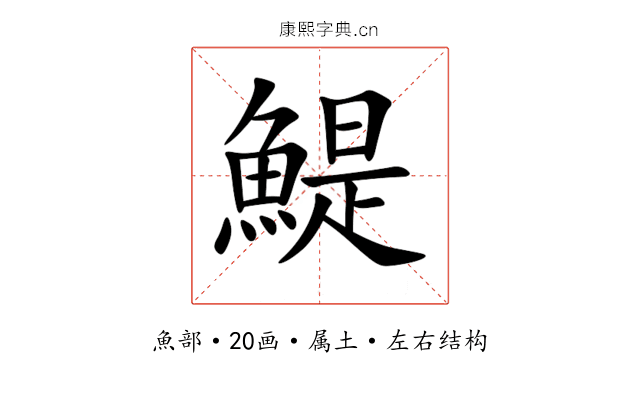 鯷 鯷