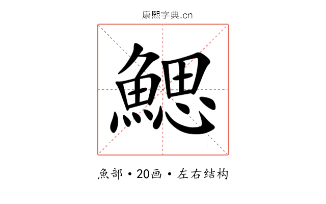 鰓 鰓