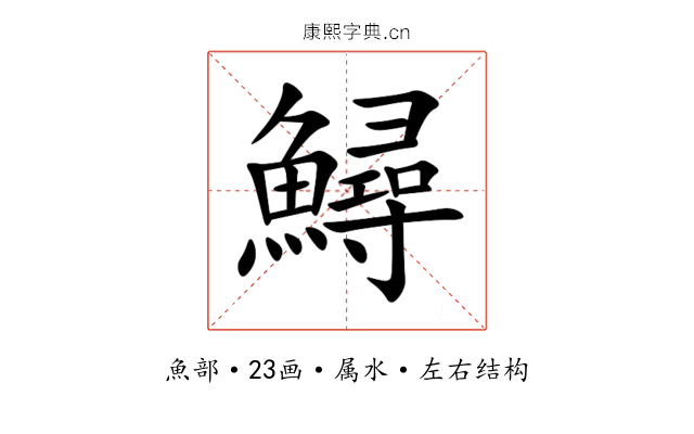 鱘 鱘