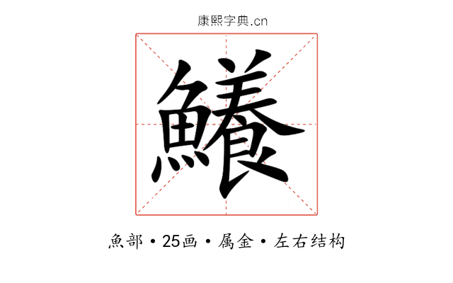 鱶